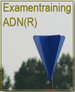 Examentraining ADN(R) (download)